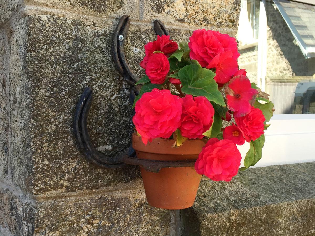 Dartfordleigh B&B Postbridge Bagian luar foto