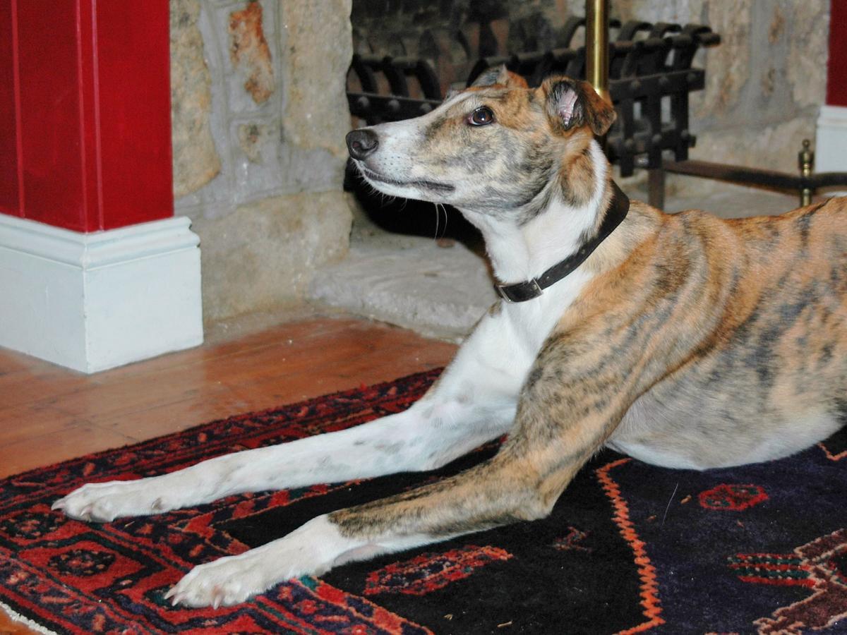Dartfordleigh B&B Postbridge Bagian luar foto